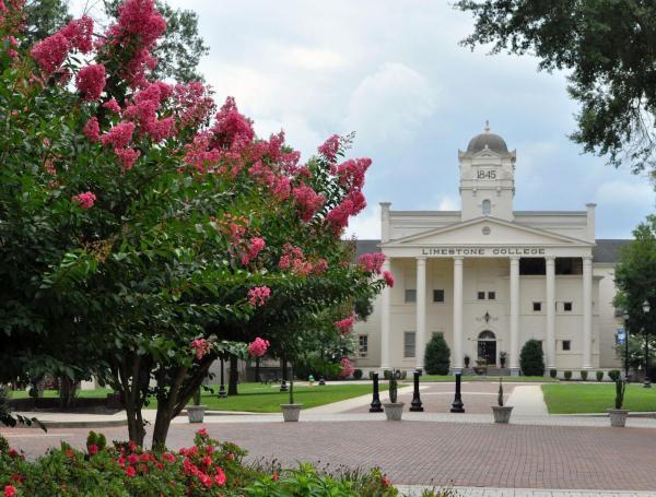 Universidad Limestone