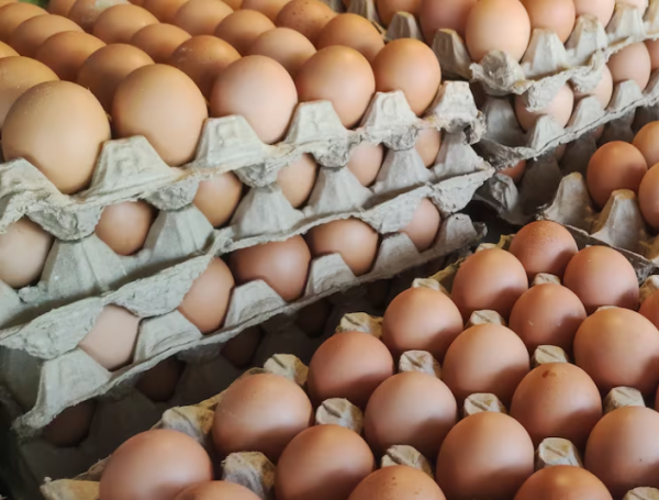 Huevos