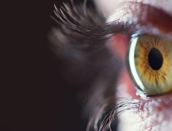 ojos