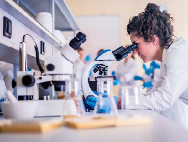 investigadores
