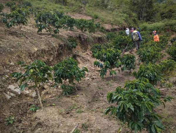 Emergencia invernal en el oriente de Cauca.