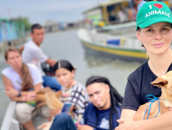 La senadora Andrea Padilla propone crear un programa de esterilización para perros y gatos.