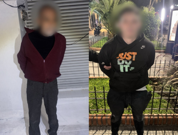 Dos delincuentes escalaron por cables telefónicos hasta el balcón de un departamento