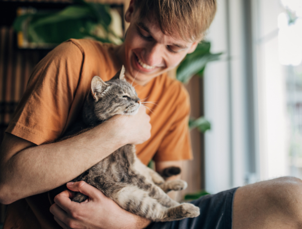 Gato