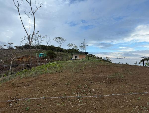El terreno en cuestión en Jamundí.