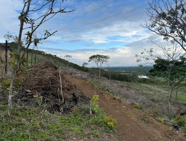 El terreno en cuestión en Jamundí.