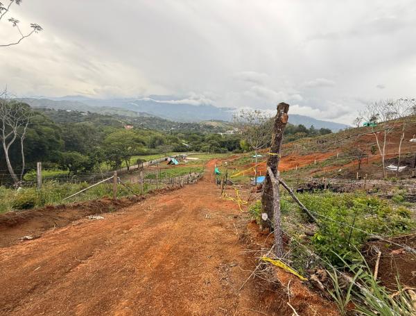 El terreno en cuestión en Jamundí.