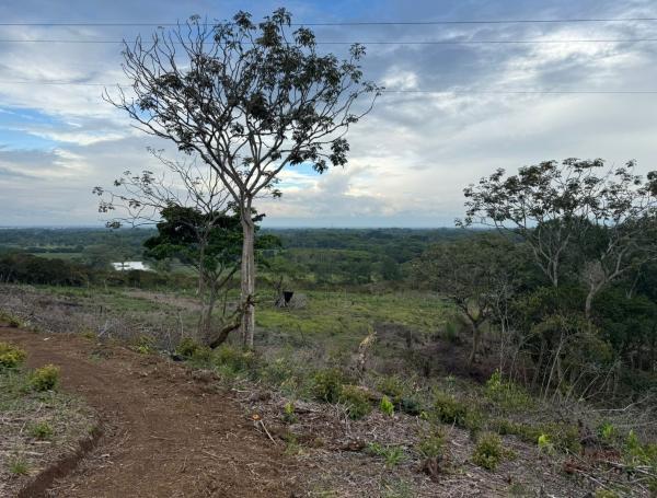 El terreno en cuestión en Jamundí.