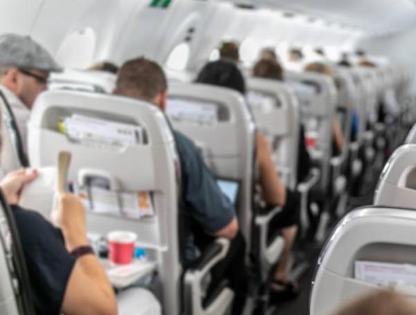 Viajar cuidando perros