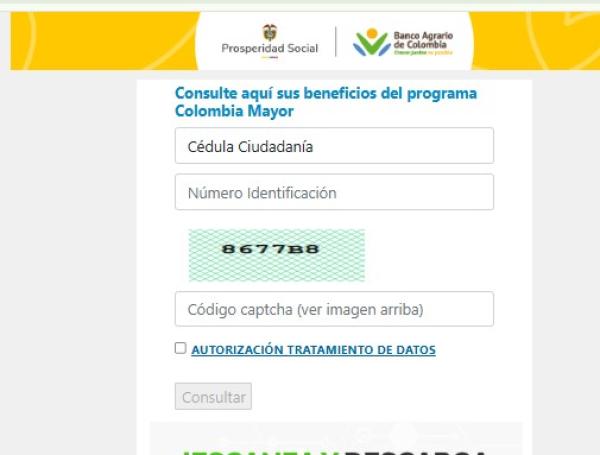 Link para saber si tiene giro de Renta Ciudadana, Devolución del IVA o Colombia Mayor 2025.