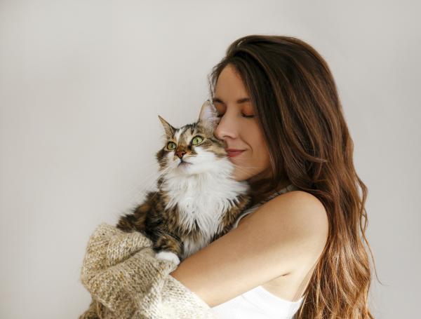 Por qué muchas personas aman a los gatos.