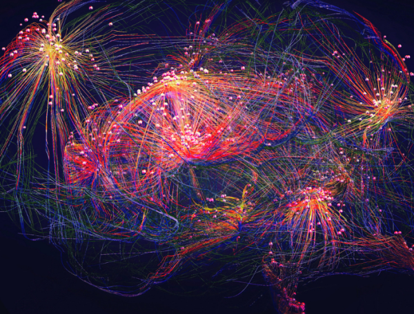 cerebro