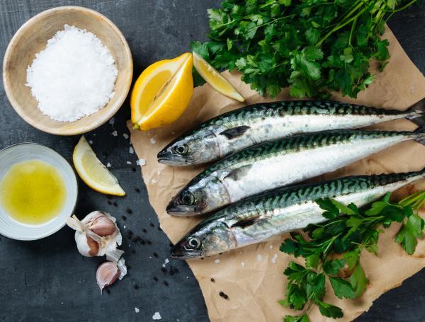  fuente de omega-3 y salud cerebral