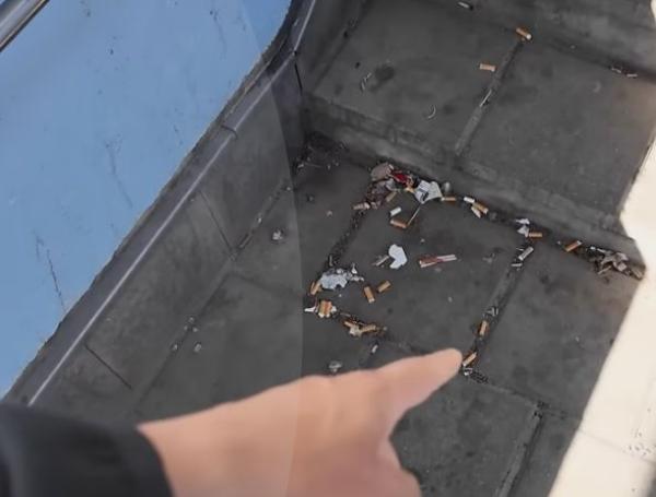 Así se veía la basura que encontró el influenciador.