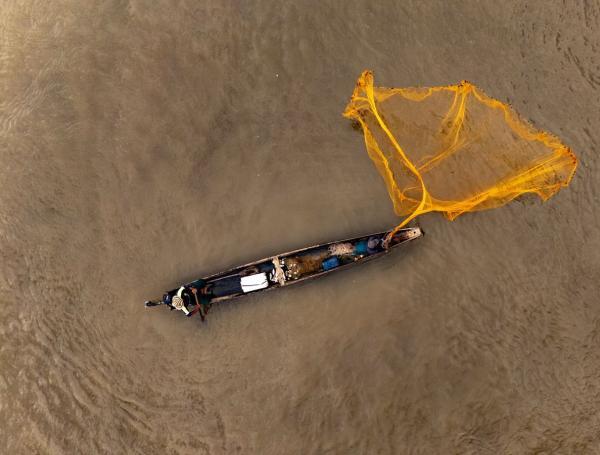 La pesca y la acuicultura crecieron 18,2 % en el primer trimestre de 2025.