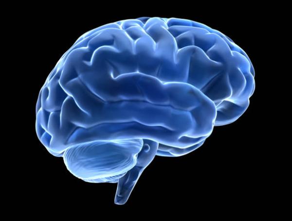 cerebro