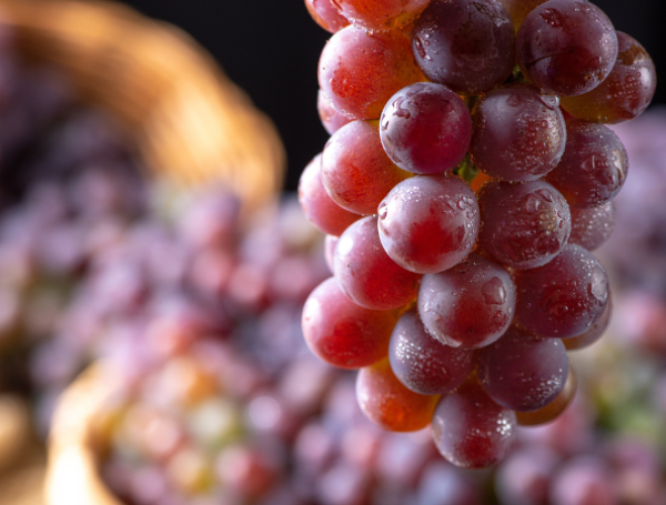 Resveratrol