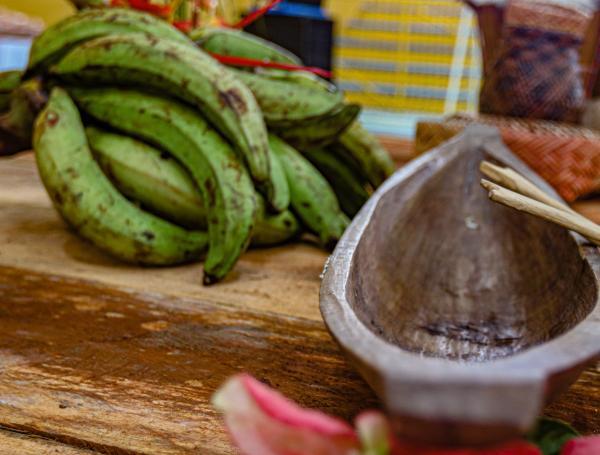 Restitución de tierras en Guapi, Cauca