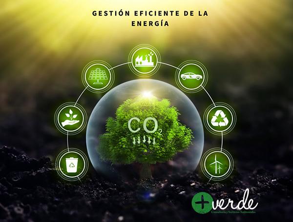 + Verde
