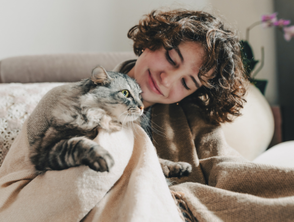 Gatos