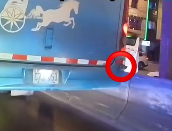Este fue el primer gato que se pudo rescatar.