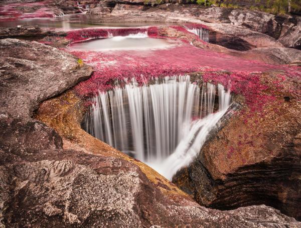 la temporada de vistas a los turistas de los destinos naturales más extraordinarios del mundo se realiza a partir de mayo