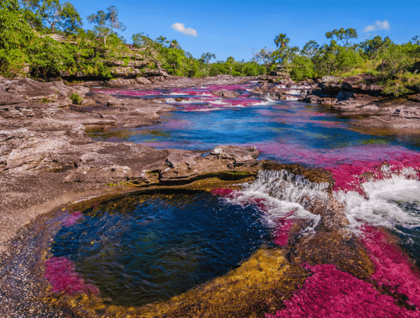 la temporada de vistas a los turistas de los destinos naturales más extraordinarios del mundo se realiza a partir de mayo