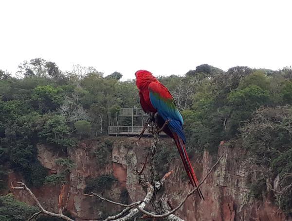 Brasil