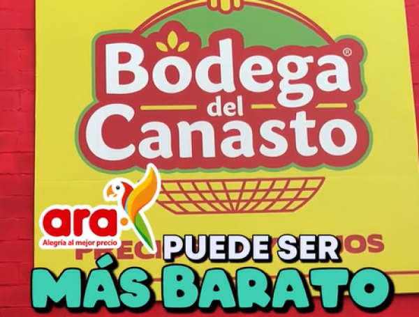D1 Canasto