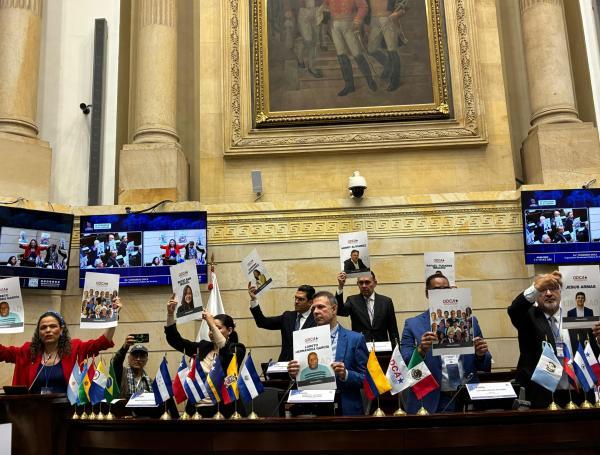El presidente del senado dijo que se debe acudir a instancias internacionales para que se preserve y se respete la democracia europea