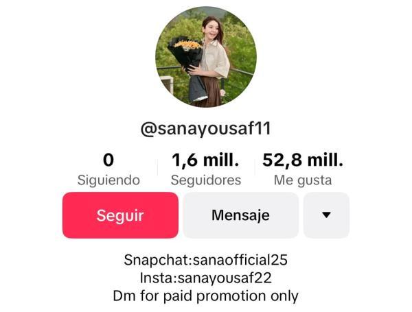 Así luce su perfil de TikTok, pues aún se encuentra activo.