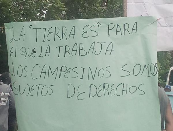 Redes Sociales