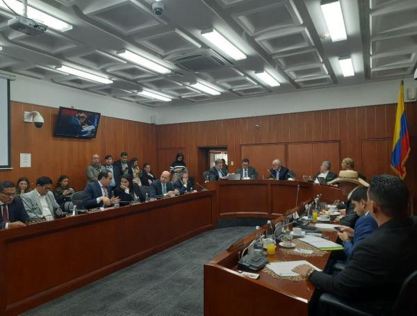 Debate de la Comisión de Ordenamiento Territorial del Senado el pasado 4 de junio.