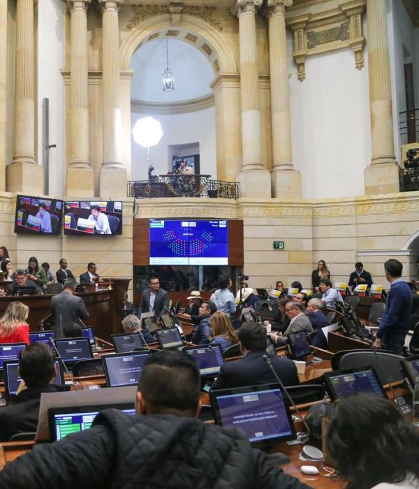 Plenaria de Senado.