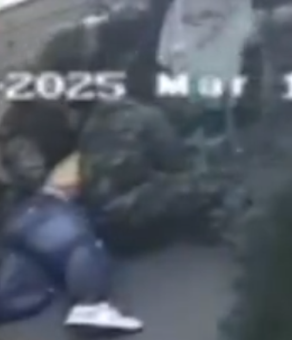 Captura de Alias Sebas.