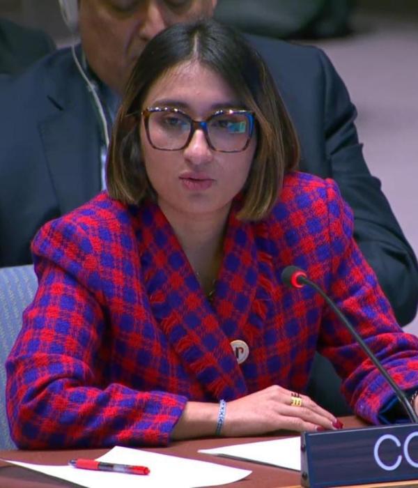 La canciller Laura Sarabia habló frente a los miembros del Consejo de Seguridad.