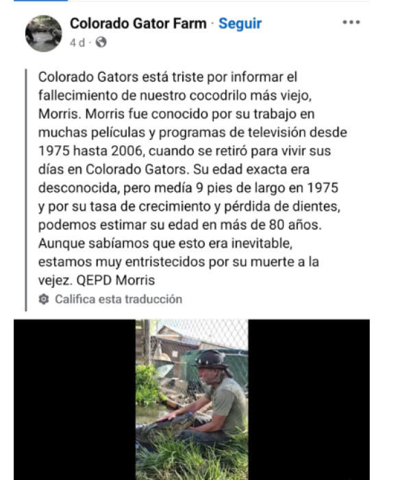 La granja donde vivió se despidió de Morris.
