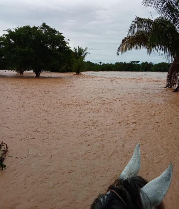 Inundaciones azotan a Casanare, Meta y Guaviare por desbordamiento del río Ariporo, tras fuertes lluvias.