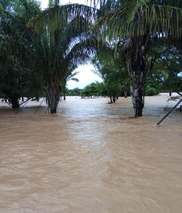 Inundaciones azotan a Casanare, Meta y Guaviare por desbordamiento del río Ariporo, tras fuertes lluvias.