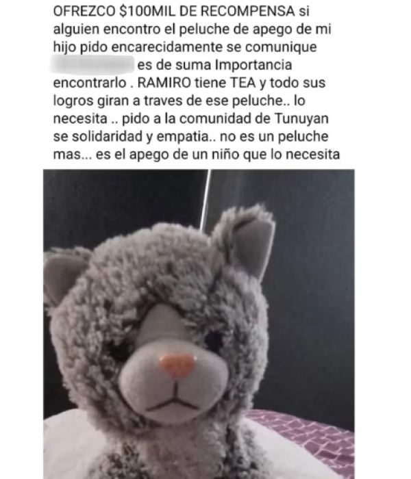 Peluche se perdió
