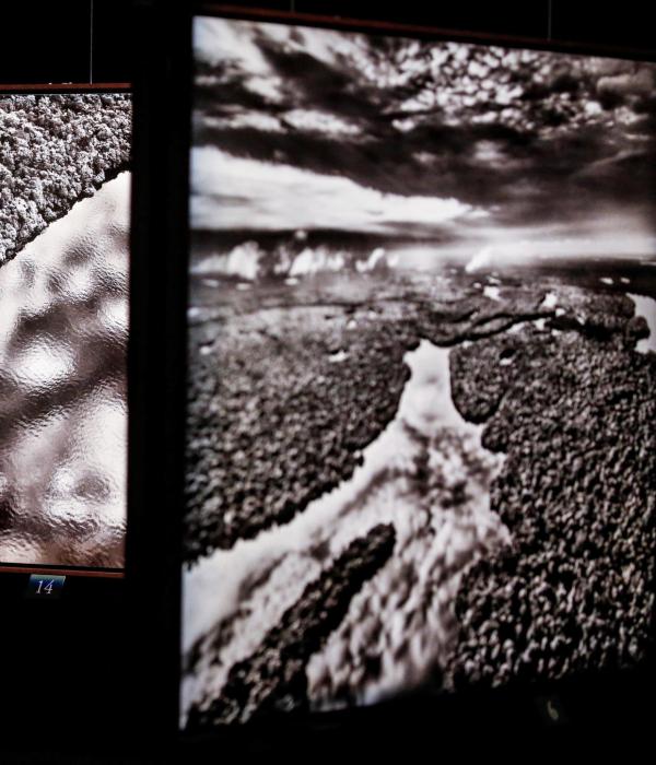 Sebastião Salgado