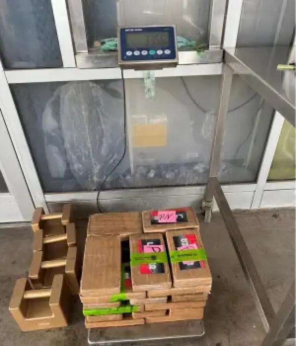 La CBP incató una enorme cantidad de cocaína.