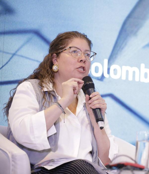 Alejandra Barrios, directora de la MOE