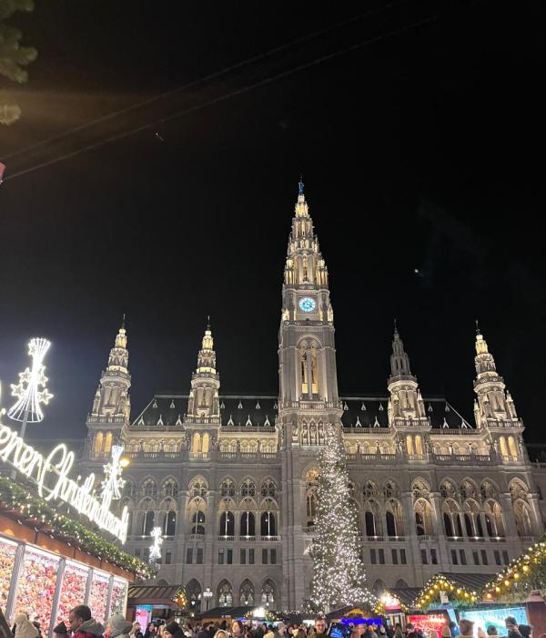 El mercado navideño de Viena tiene una pista de patinaje sobre hielo, un carrusel y trineos.