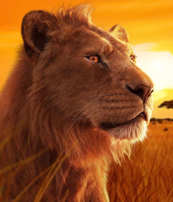 'Mufasa'