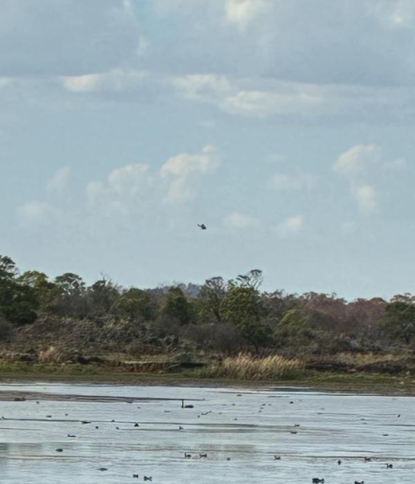 Helicóptero sobrevolando sobre el  Parque Nacional Budj Bim.