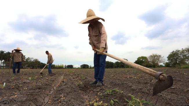 En temas de género, la reforma rural integral es el punto más rezagado en cuanto a implementación del acuerdo de paz.