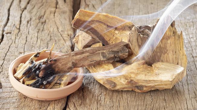 Se cree que los beneficios de esta madera se obtienen de los árboles caídos de manera natural y de la savia extraída de forma respetuosa con el medio ambiente.