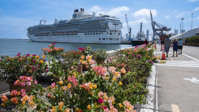 La Terminal de Cruceros de Cartagena registra incrementos del doble en cifras de pasajeros, de atraques e impacto económico.