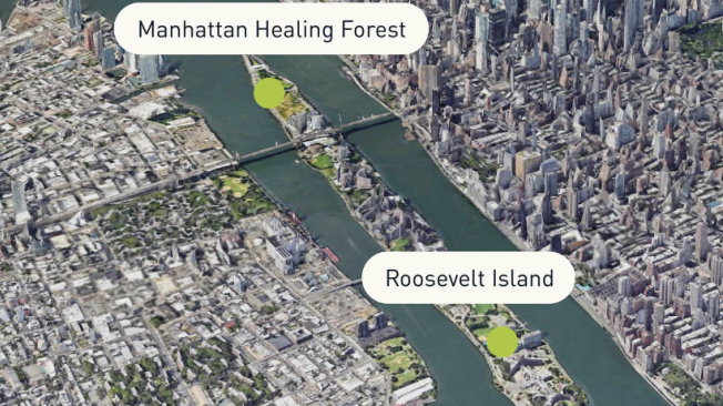La Isla Roosevelt separa la zona de Lenox Hill de la región de Dutch Kills en Nueva York.